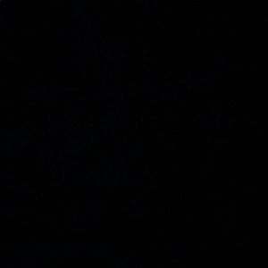 Meet your Posher, Paris